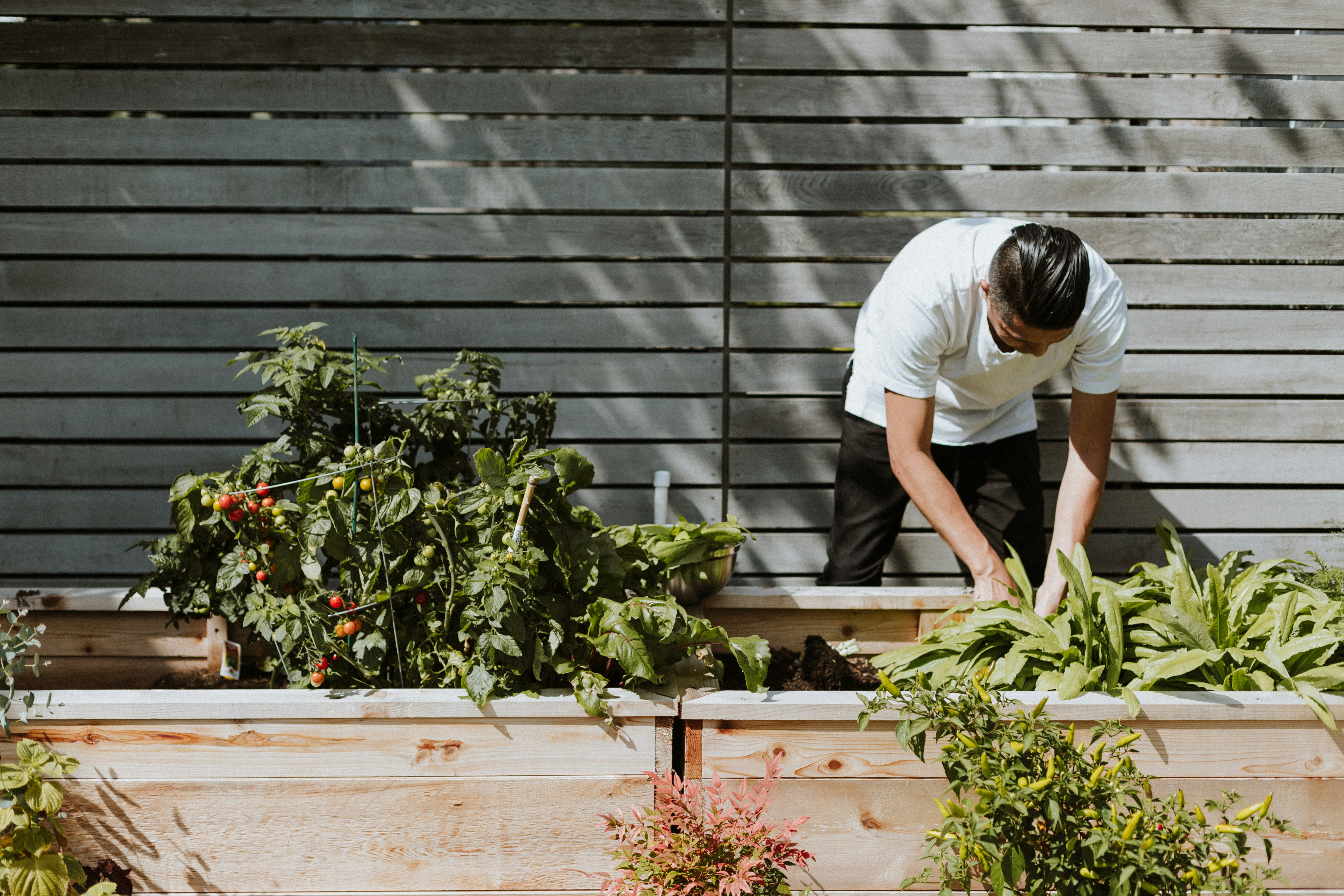 Before and after: How AI is transforming Home & Garden courier ops